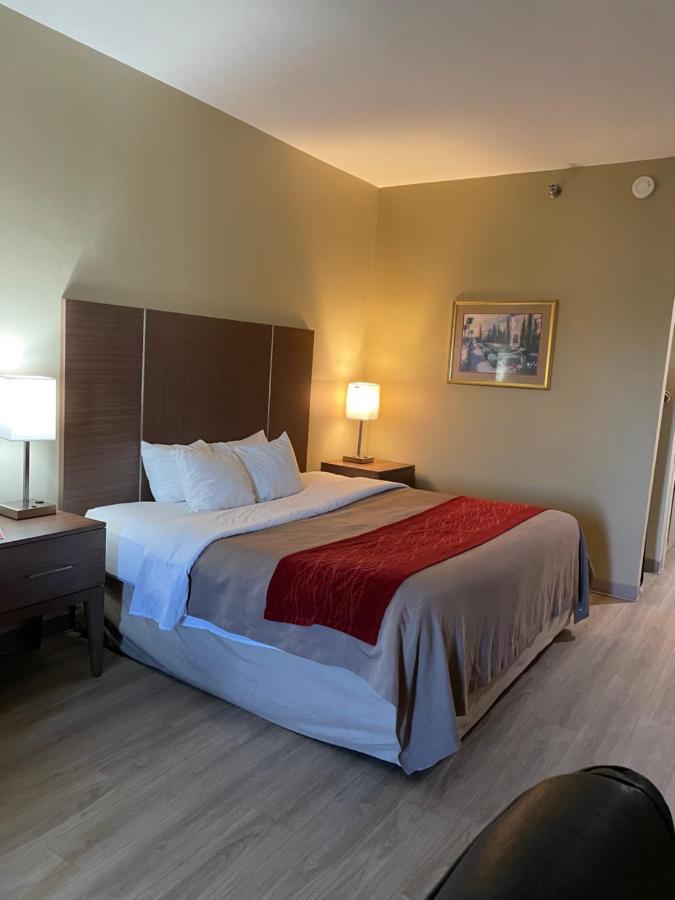 King Room - Non-Smoking,1318744702:JPEG