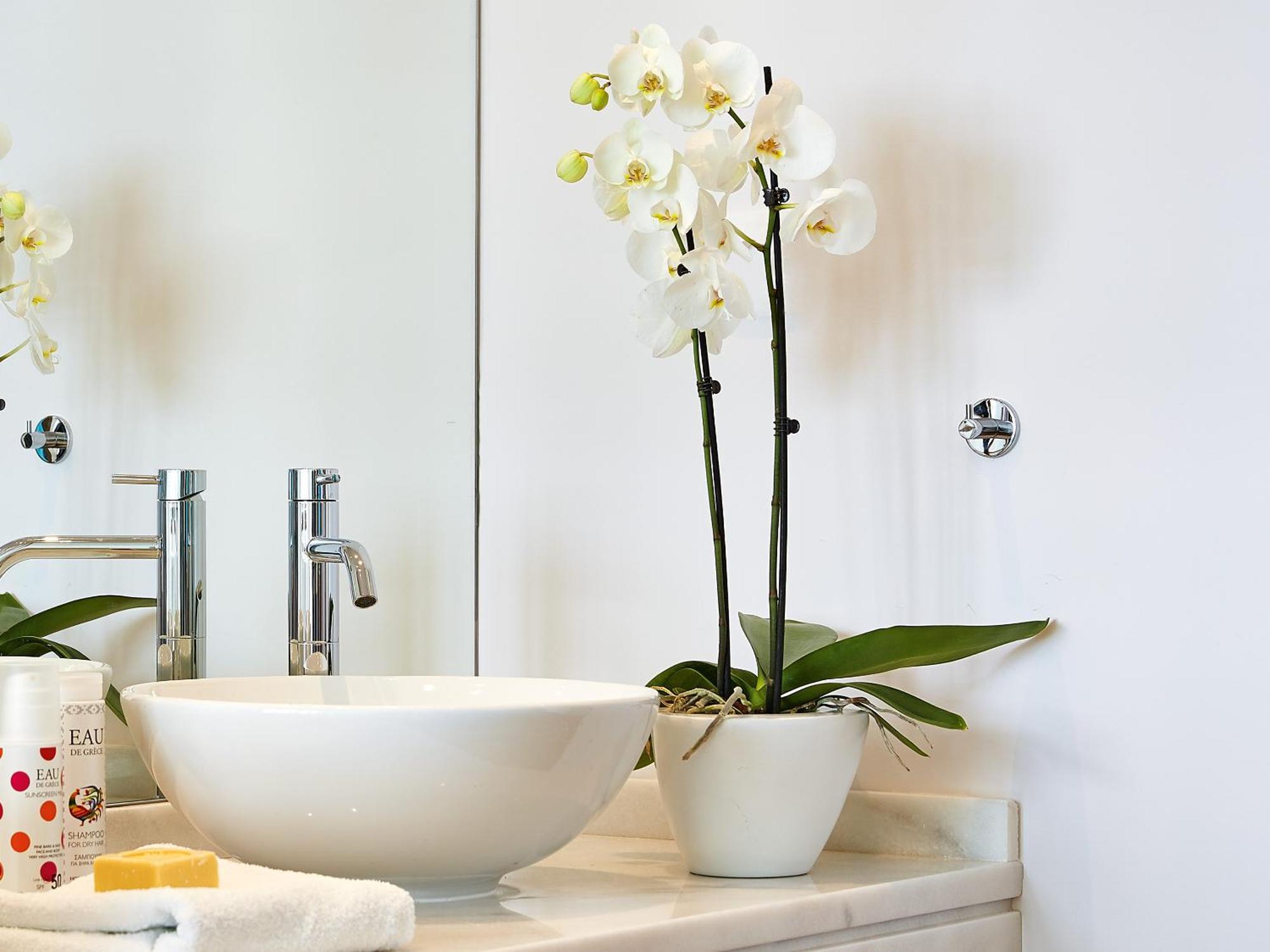Suite Familiare con Vista Mare Laterale