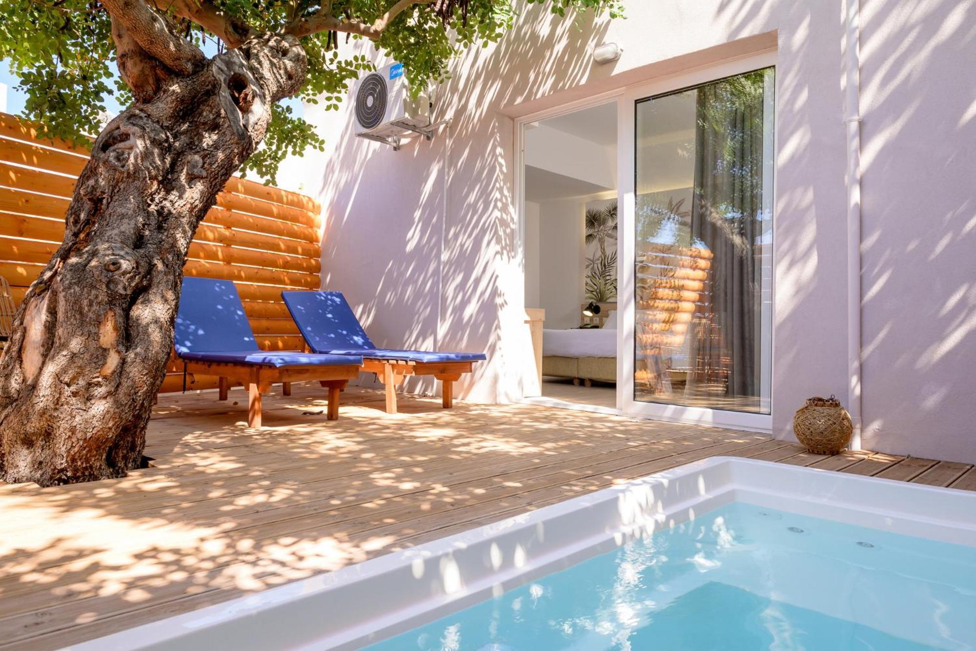 Superior Double Room with Plunge Pool,1542562423:JPEG