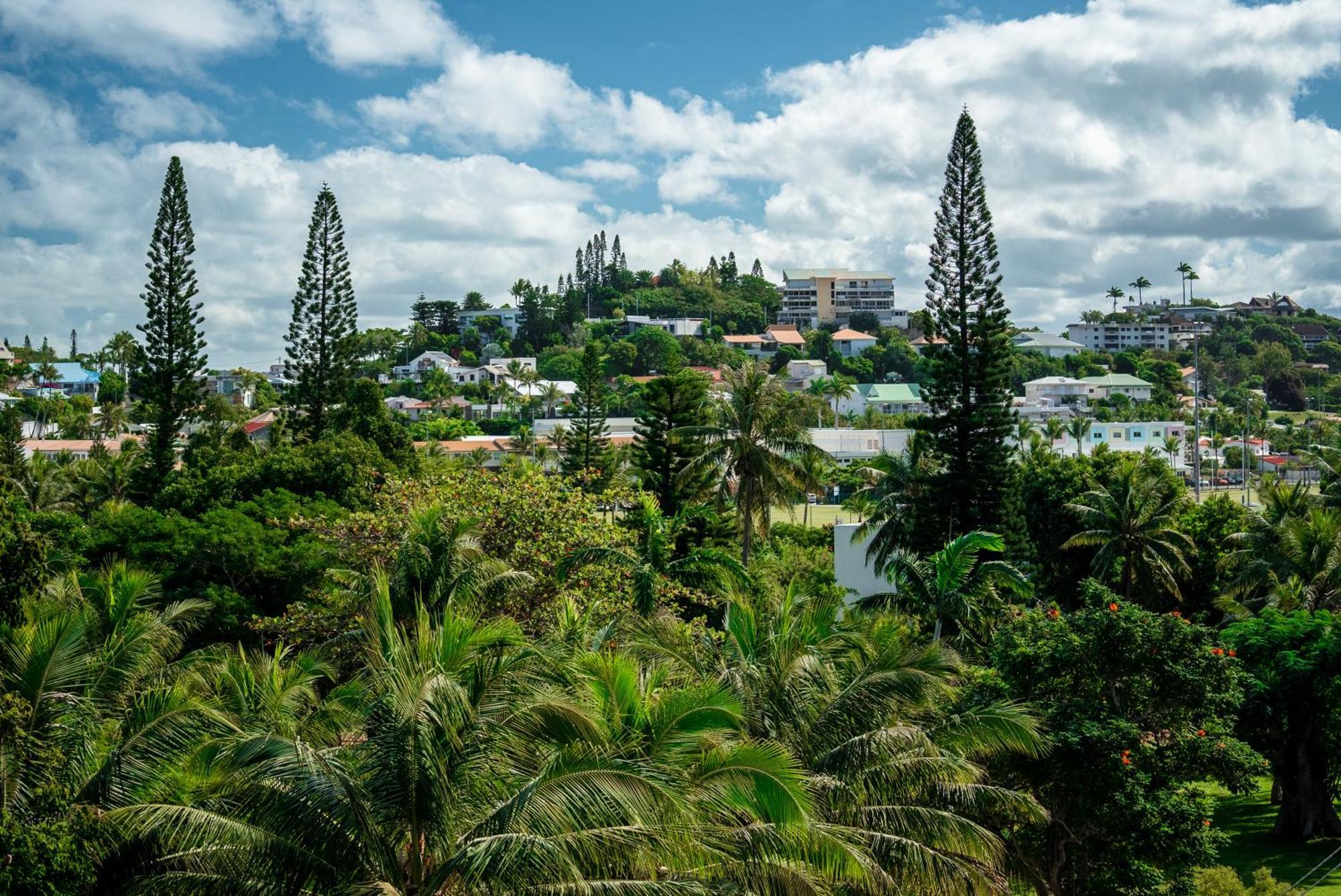 One Bedroom Suite Anse Vata Road