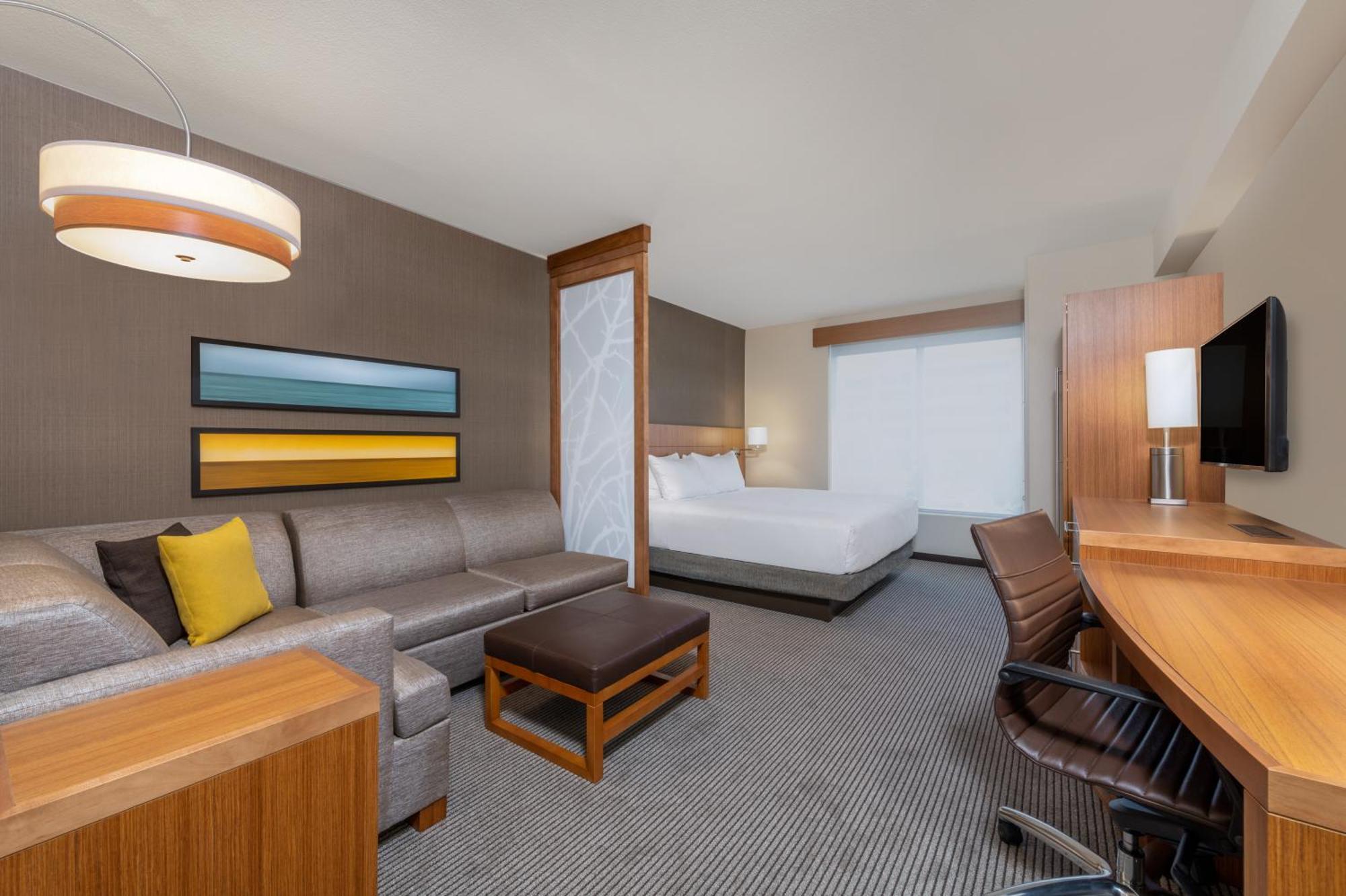 King Room Sofa Bed