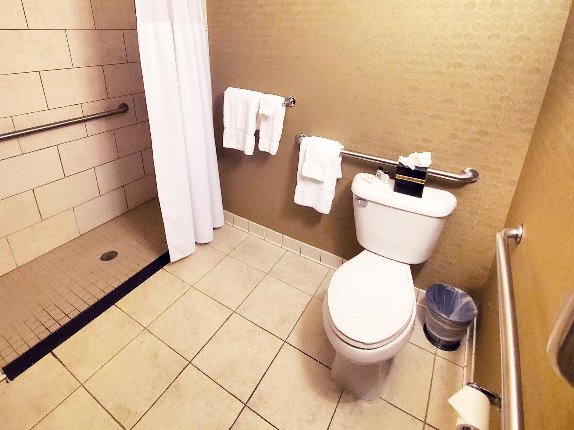 Standard King Room Mobility Accessible Tub