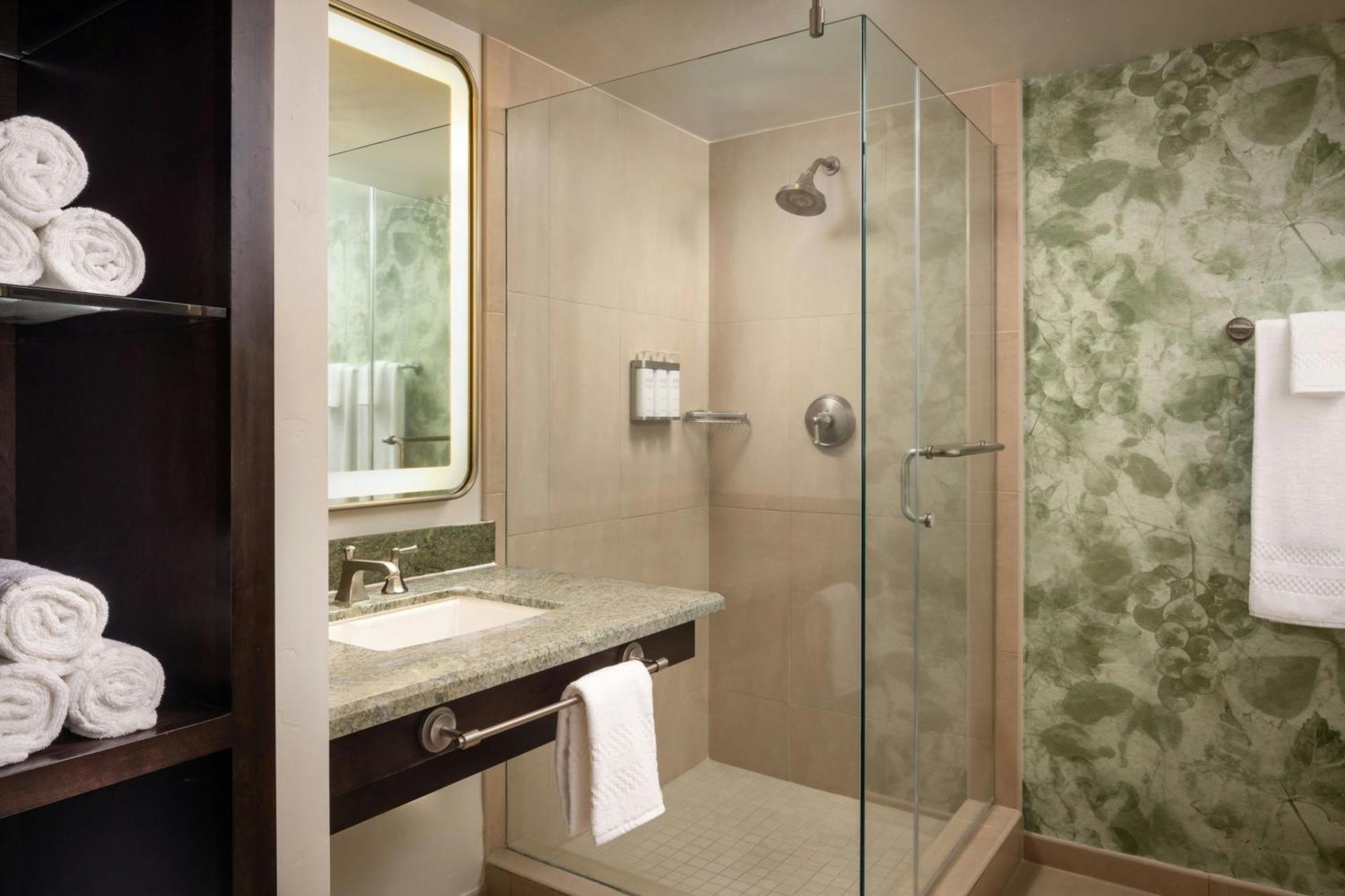 Standard King Room with Sofa Bed, Roll-In Shower and City View - Mobility and Hearing Accessible