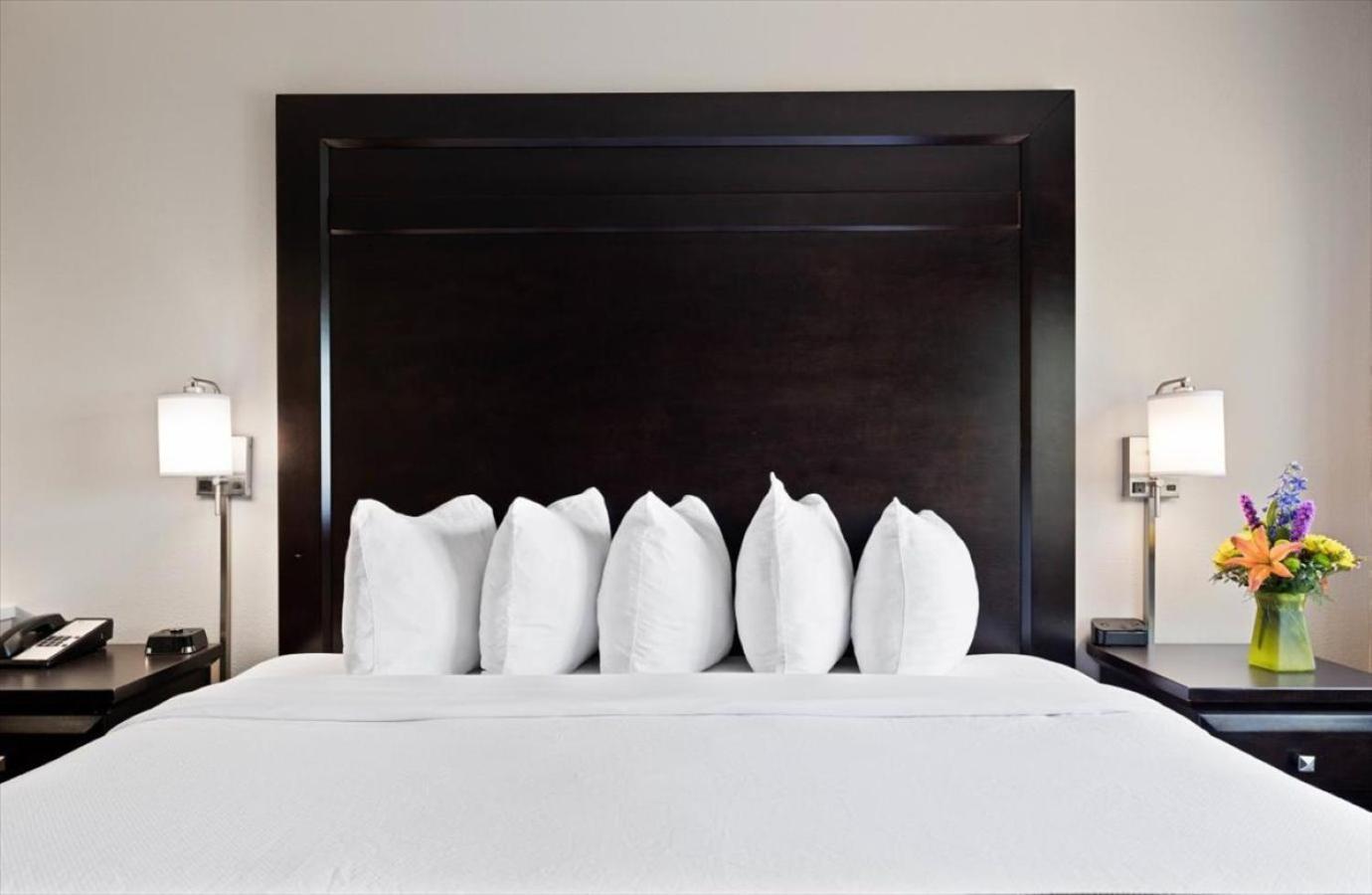 King Suite,1742704930:JPEG