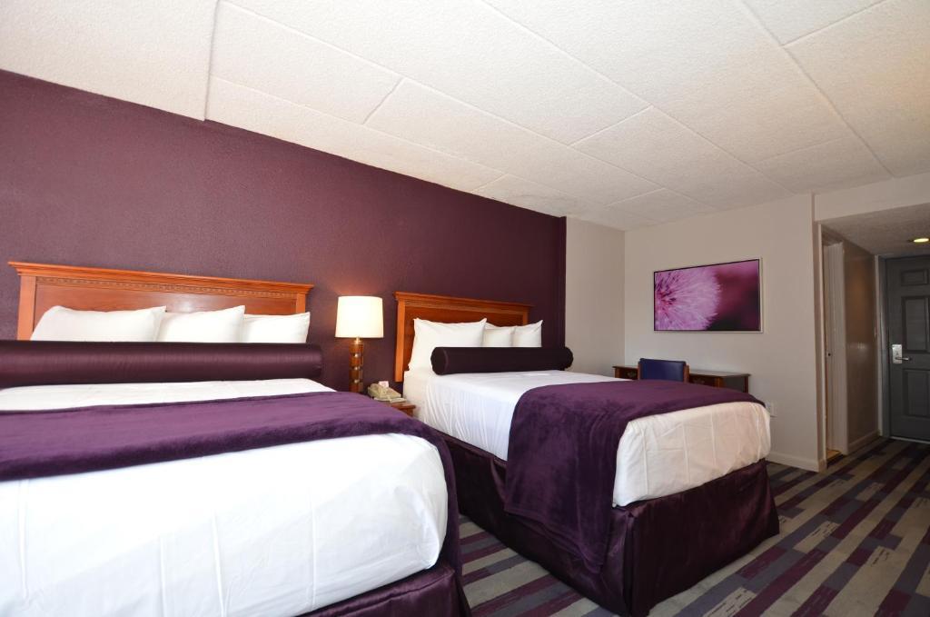Double Room with Two Double Beds (3 Adults)