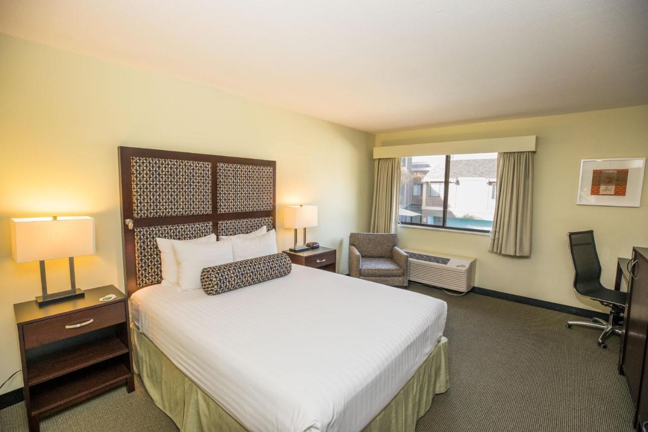 Queen Room - Disability Access,738597649:JPEG