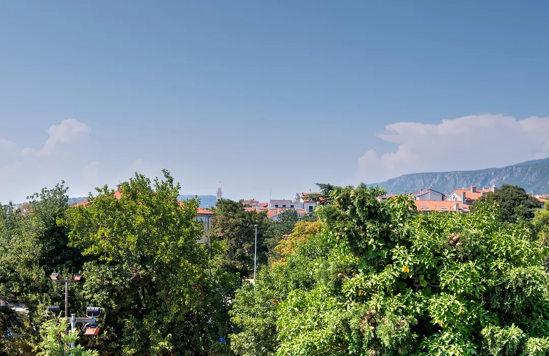 Aminess Vival Lisanj Family Hotel-1