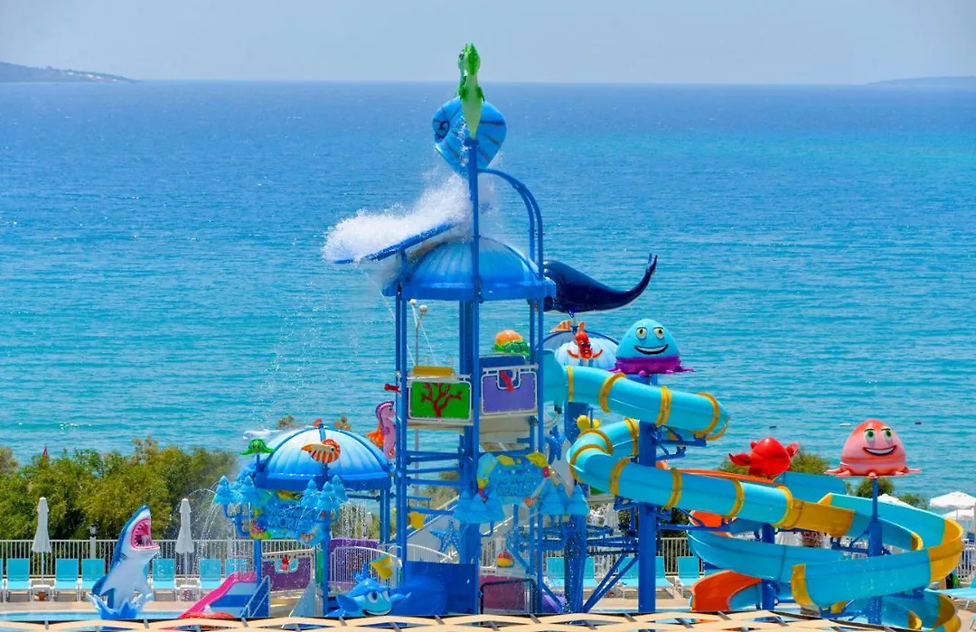 Maxeria Blue Didyma-1