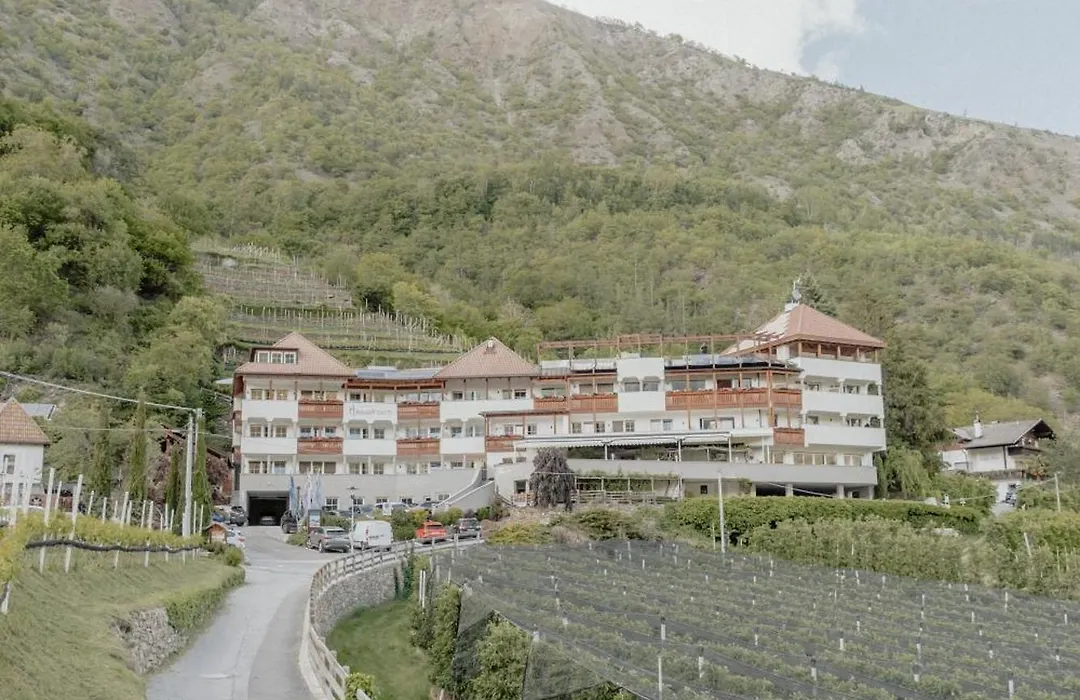 Panorama Hotel Himmelreich-1