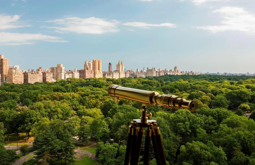 The Ritz-Carlton New York, Central Park-1