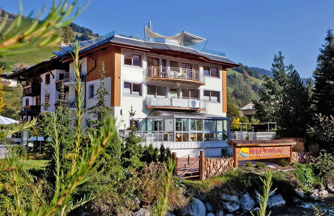 Hotel Sonnberg-1