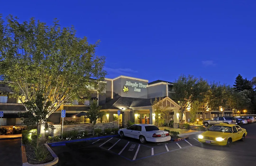 Maple Tree Inn-1