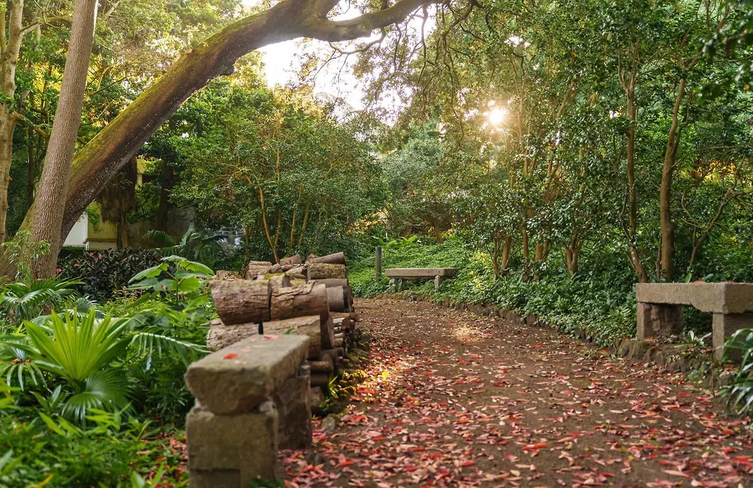 Solar Dos Cantos Botanic House & Garden-1