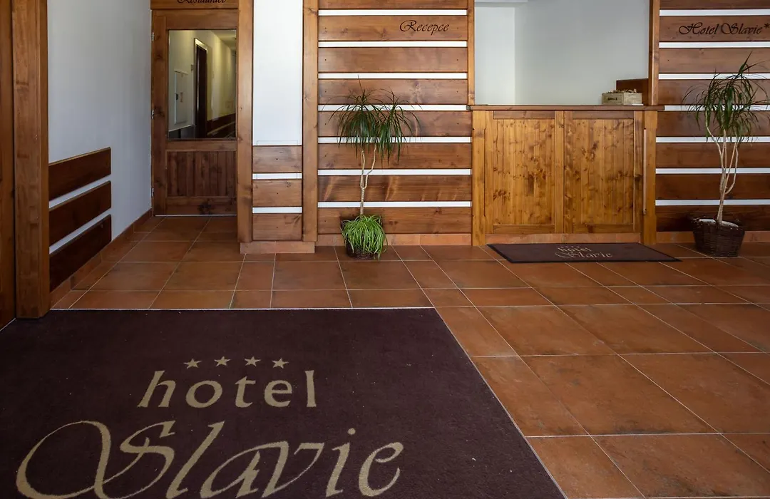 Hotel Slavie-1