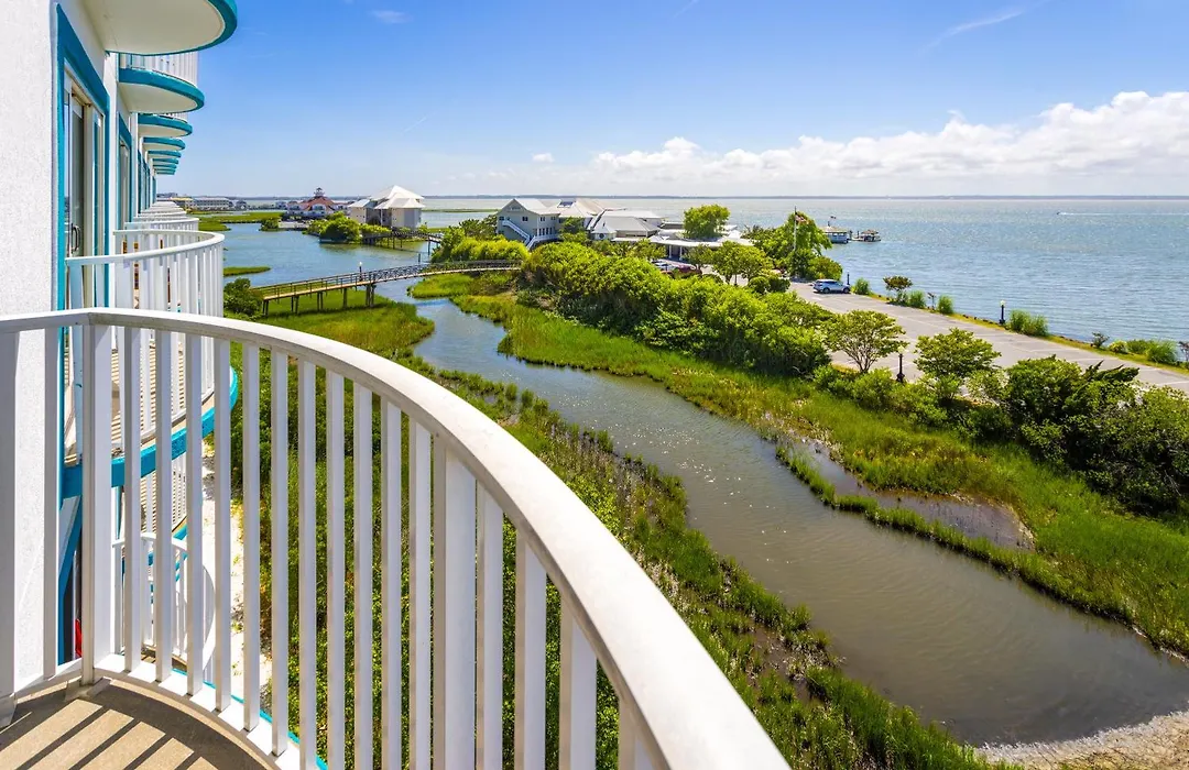 Coconut Malorie Resort Ocean City, An Ascend Collection Hotel-1