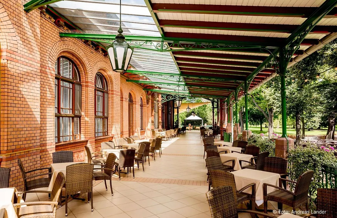 Dorint Herrenkrug Parkhotel Magdeburg-1