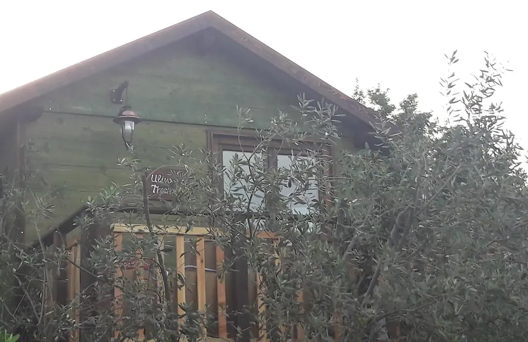 Palazzo Conforti Tree House Resort-1