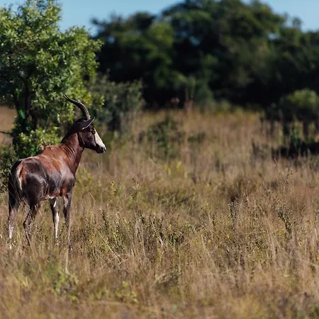 Thaba Eco Hotel-2