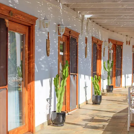 Ölüdeniz Manzara Non Alcoholic Family Hotel-3