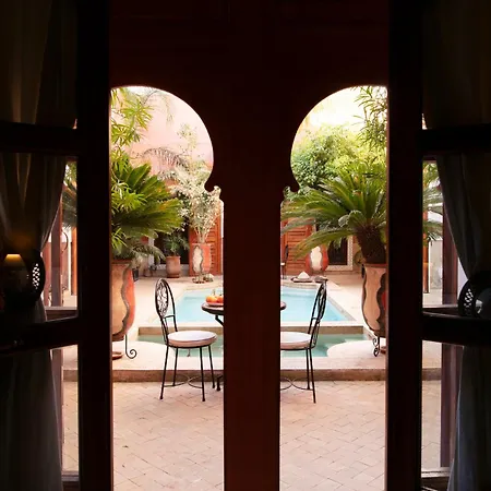 Riad Alili-2