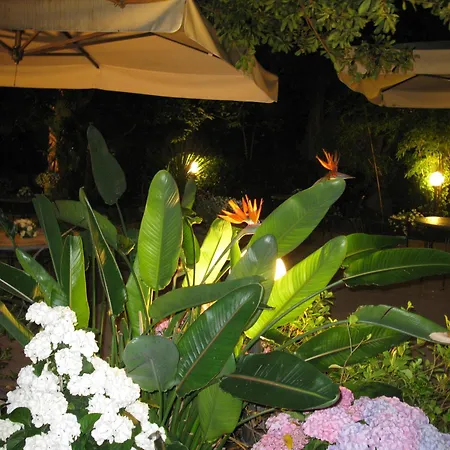 Hotel Miramare-2