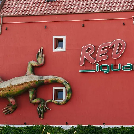 Red Iguana Hotel-3