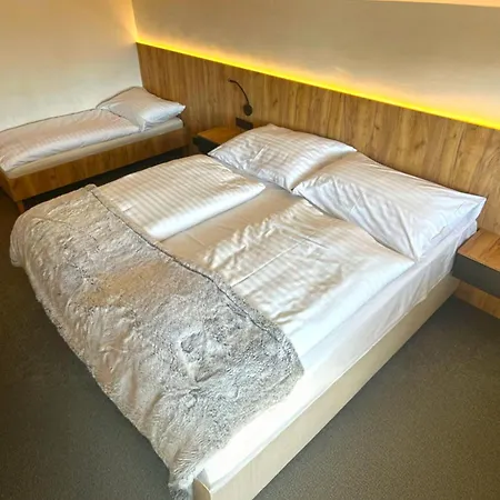 Wellness Hotel Svornost-3