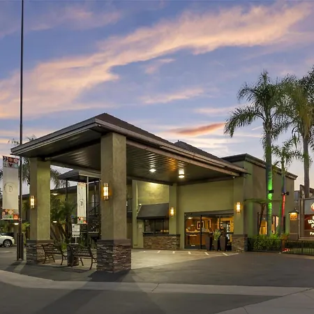 Best Western Plus Pavilions-3
