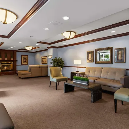 Best Western Ville-Marie Montreal Hotel & Suites-3