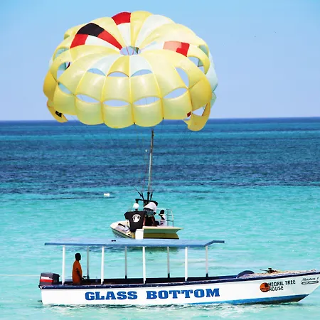 Negril Treehouse Resort-2