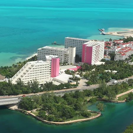 Oasis Palm-3