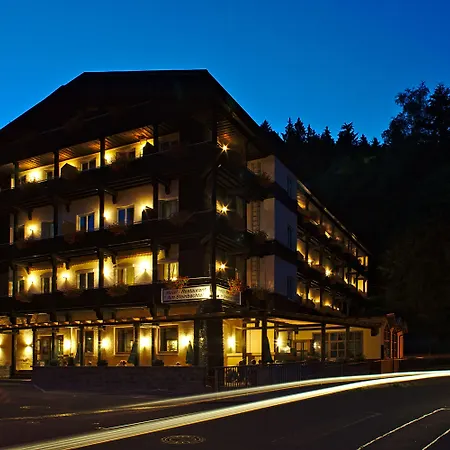 Natur- und Wanderhotel am Steinbachtal-3