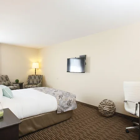 Pomeroy Inn & Suites At Olds College-3