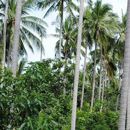 Baan Sawan Samui Resort-3