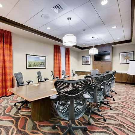 Hilton Garden Inn North Houston Spring-3