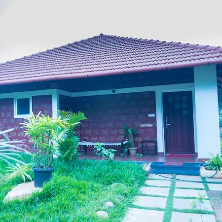Sr Jungle Resort-2