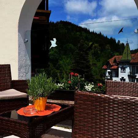 Holzschuh Schwarzwaldhotel-2