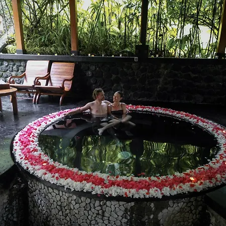 Nandini Jungle By Hanging Gardens-2