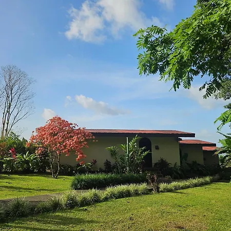 Yellow Tree Suites-3