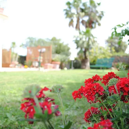 Villa Regina B&B-3