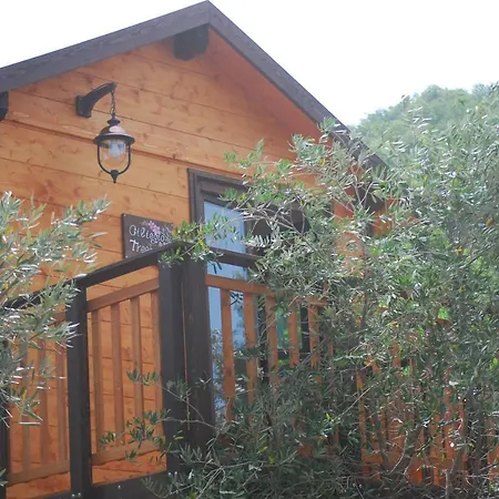 Palazzo Conforti Tree House Resort-3