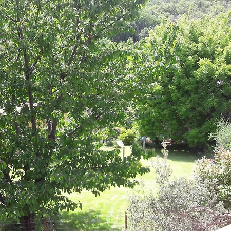 Palazzo Conforti Tree House Resort-2