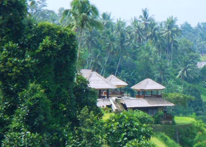 Dog friendly hotels Santai