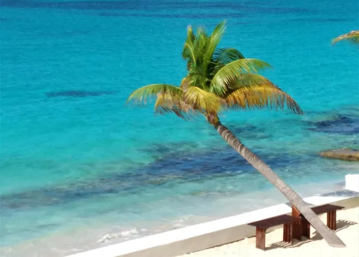 The Horny Toad Guest House