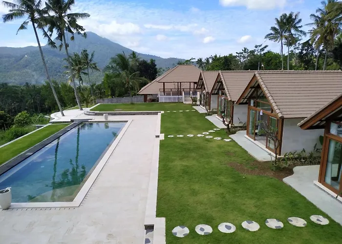 Palmterrace