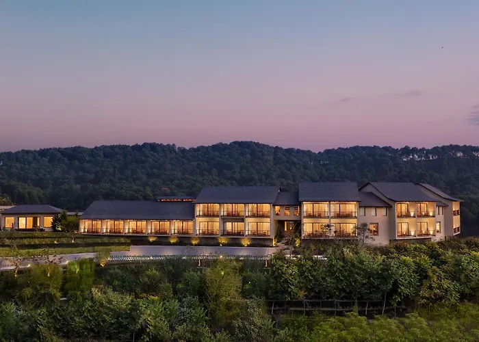 Storii By Itc s, Amoha Retreat Dharamshala