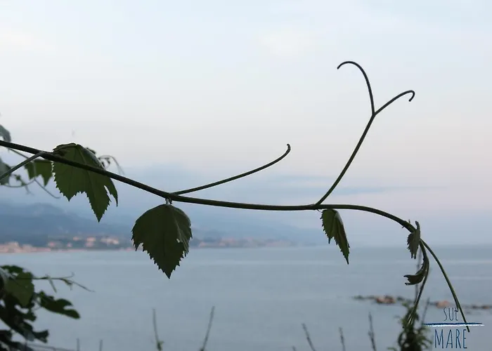 Albergo centrale: Sul Mare B&B