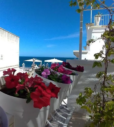 My Monopoli- Casa Dei Fiori "Orchidea" Centro Storico