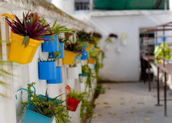 Bhola Bhawan Bed And Breakfast