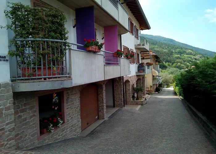 Albergo economico: B&B agli Ulivi